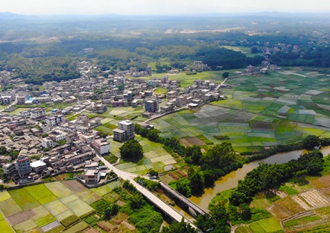 广西：：农地入市&nbsp;&nbsp;收益共享<br>自然资源部分增强政策指导和手艺服务