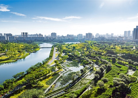 广西出台领土空间生态修复项目治理步伐