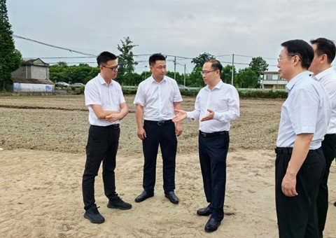 胡云赴眉山调研耕地；；な褂煤透弑曜寂┨锝ㄉ枋虑