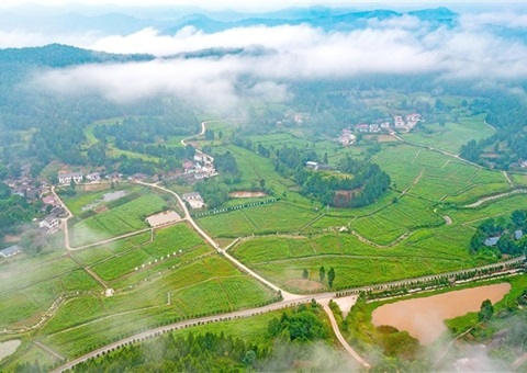 遂宁市守住耕地“命根子” &nbsp;沃野千里织漂亮