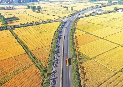 湖北奖励十五个耕保效果突出县（市、区）