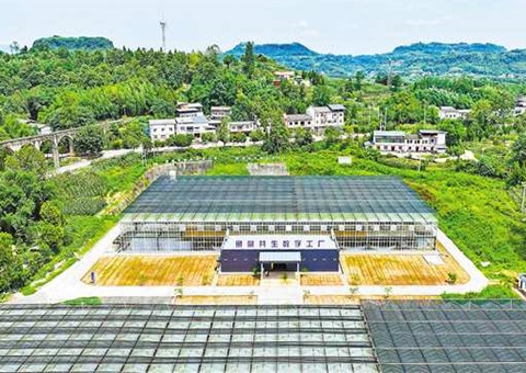 重庆：：数智赋能&nbsp;&nbsp;土地结出“智慧果”
