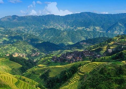 一次性200万元！！！&nbsp;广西在天下率先实验林权挂号财务资金激励