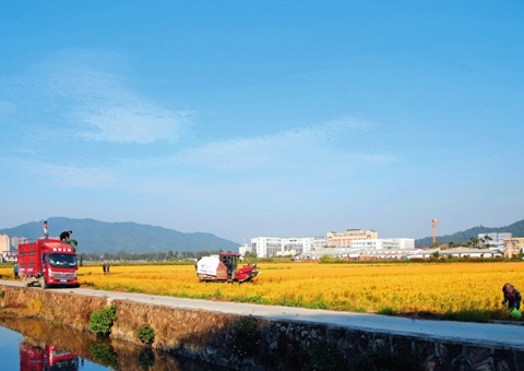 瞭望｜广东：：：“耕”出新动能 “连”出好风物