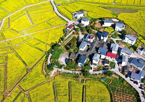 205.7亿元！！&nbsp;&nbsp;四川财务下达2025年衔接推进墟落振兴津贴资金