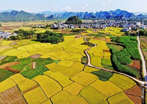 强化“指挥棒”作用&nbsp;&nbsp;柳州市发放500万元耕地；；ぁ凹だ彀