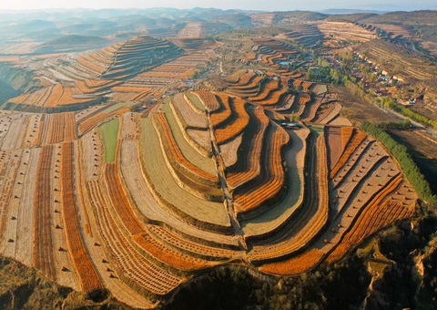 《宁夏回族自治区土地征收治理步伐》2025年11月1日起施行