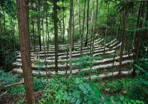 江西森林可持续谋划：：开创生态美工业兴黎民富协同开展新时势