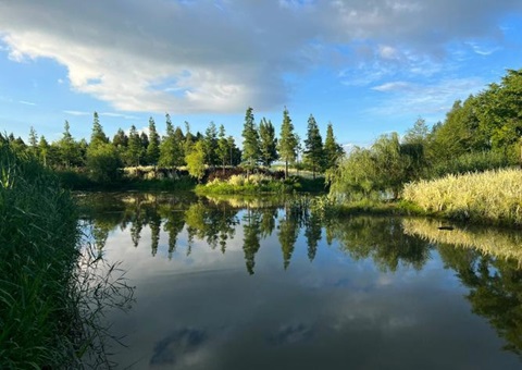 湖北武汉：“人工智能+”赋能湿地智慧制作新模式