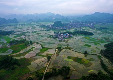 重磅释放！！！玉林市29宗焦点地块集中推介解锁投资新商机