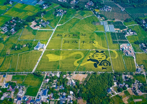 成都宣布耕地；ね！！未来10年这样筑牢“天府粮仓”基本