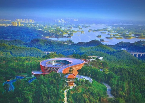 治用地荒、、、活闲置林、、、降埋葬费……成都生态纪念林探路林权多元使用