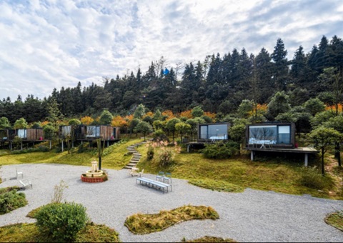 天下典范案例+1！！！重庆探索“四方共治”实现生态修复与增收共赢