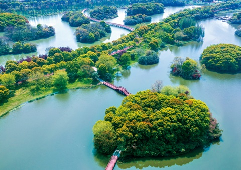 江西省湿地；ぢ室汛61.99%