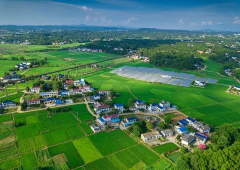 湖南：靶向发力盘活存量土地资产<br>为206家机关企事业单位定制处理方案，盘活土地2.6万亩