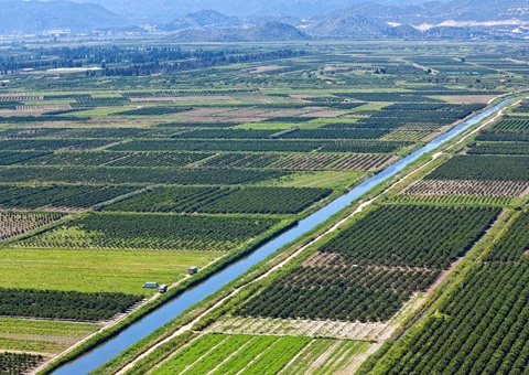 广西强化暂时用地土地复垦羁系<br>勉励土地复垦方案审查和暂时用地审批并联办理