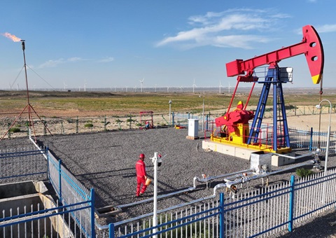 宁夏纵深推进新一轮找矿突破战略行动，实验一批煤层气、页岩气、煤炭等勘查项目