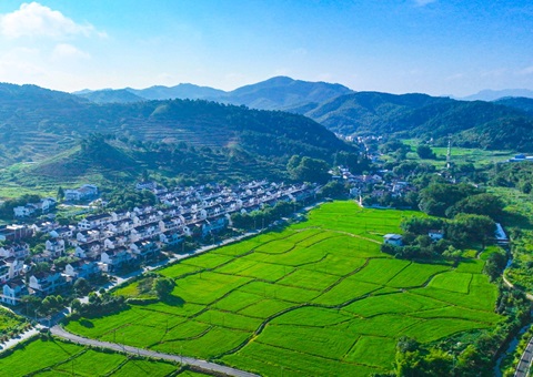 安徽推动构建城乡统一建设用地市场&nbsp;&nbsp;要素包管多点发力“激活”墟落振兴