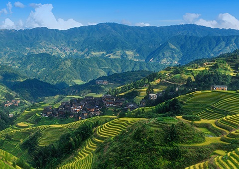 津贴200万元！！！广西实验林权挂号财务资金激励