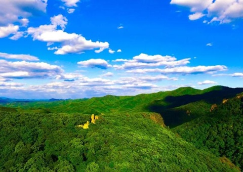 辽宁：林草领域获80亿元信贷支持