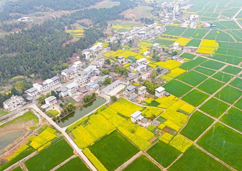 四川省委办公厅、省政府办公厅印发《关于深化农村土地要素市场化刷新的意见》