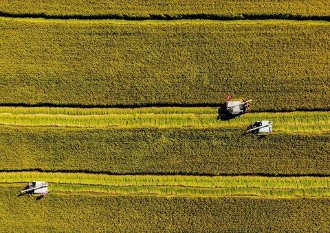 辽宁省耕地地力；；そ蛱曜汲鎏