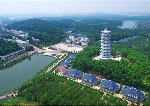 湖北：：：用好“一张图” ，智治有支持