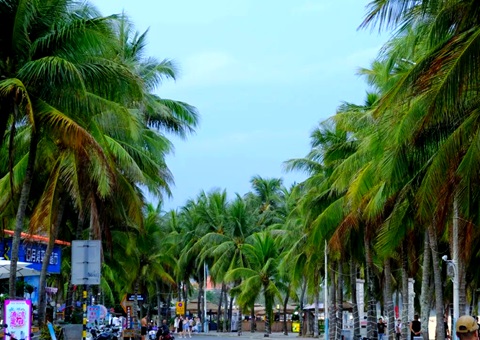 建“清凉城市”，海南有何“凉方”?