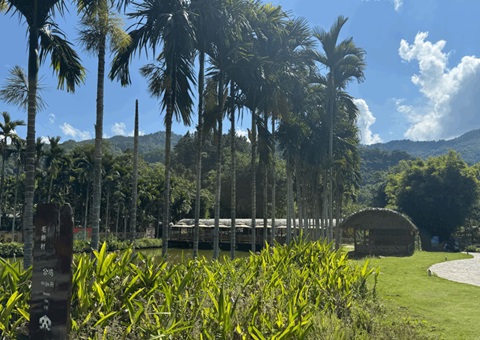 海南探索墟落妄想赋能： 用工业“串”起和美墟落“幸福链”