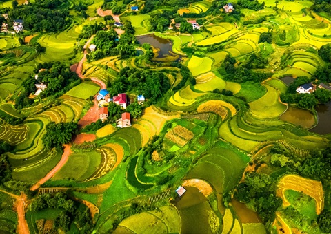 @农民朋侪 2025年重庆市耕地地力；そ蛱桨咐戳