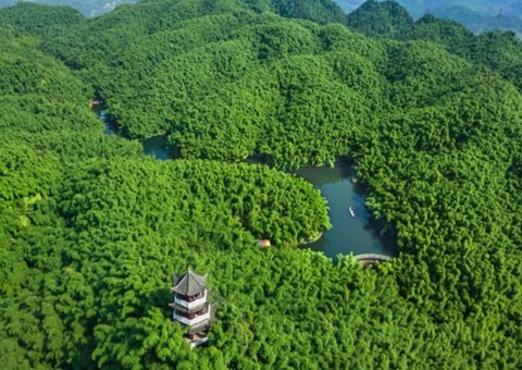 四川宣布林草碳普惠项目要领学&nbsp;&nbsp;&nbsp;&nbsp;助推生态产品价值变现