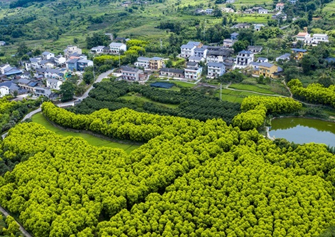 重庆墟落休闲旅游形成点线面立体式开展&nbsp;&nbsp;建设天下休闲农业重点县8个、、、中国漂亮休闲墟落90个