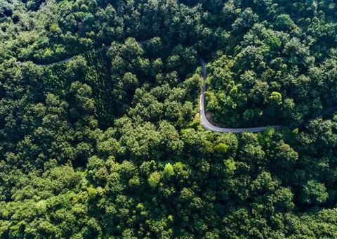 湖南省首例！靖州“国有建设用地+VEP”自然资源资产组合项目实现生意