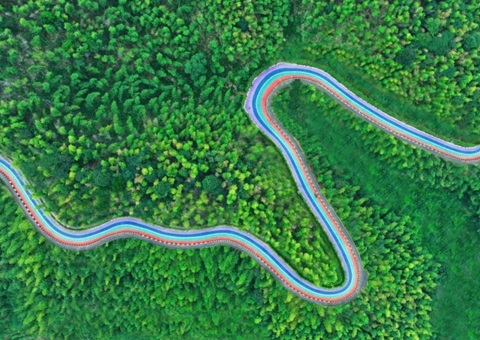 组合供应出新招，竹海收益节节高——桃江县“桃花江竹海！弊匀蛔试醋什楹瞎┯ν贫芳壑凳迪职咐