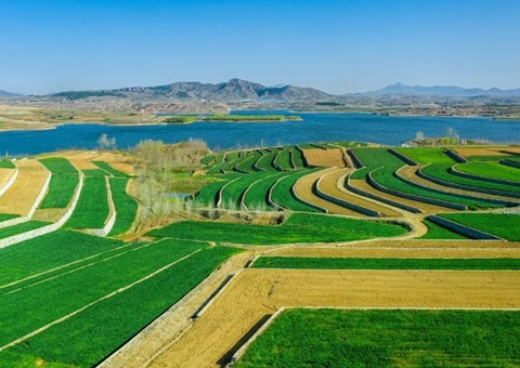 山西妄想用5年开展一轮全域土地综合整治