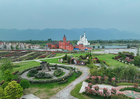 四川德阳修建全链条清静羁系系统助力“森林粮库”可持续开展