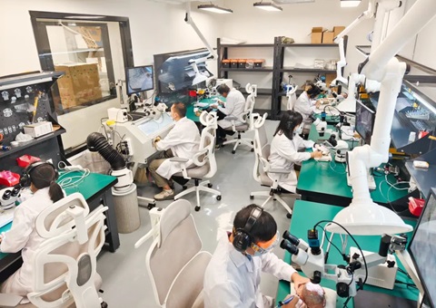 解锁远古“生命档案”！广西首家专业古生物化石修复判断室亮相