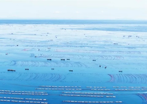 辽宁周全清查海洋资源资产实物量、、价值量、、使用权——摸清海洋“家底儿”