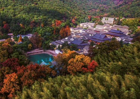 浙江：：森林公园生态旅游怎样高质量开展？？