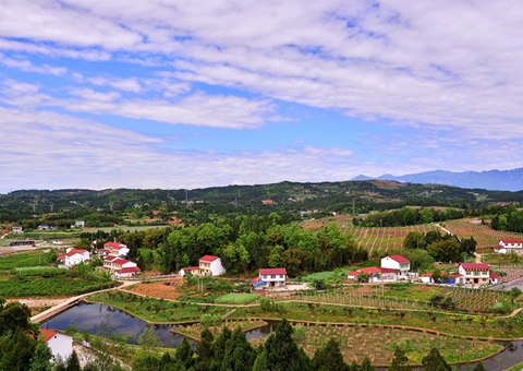 河南：2026年年底前实现墟落地区妄想治理全笼罩