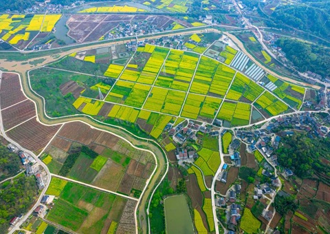 湖北省自然资源厅包管重点农业工业链高质量开展