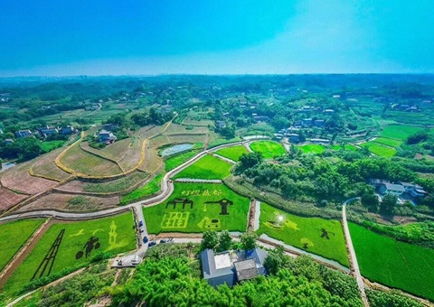 护航墟落开展！！！自贡市出台墟落振兴用地指南