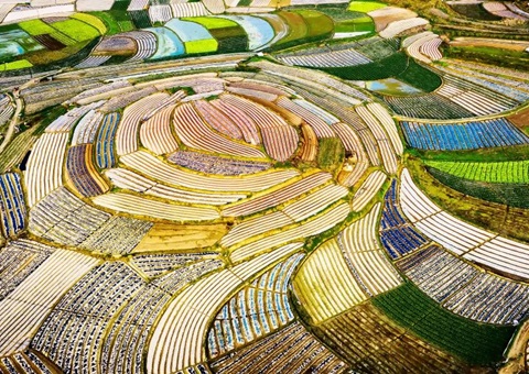 广西印发2026年田长制事情要点   深化“数智耕！！庇τ