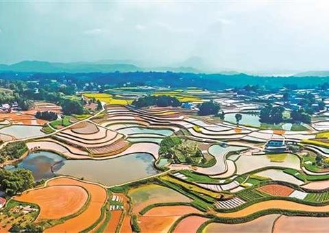 跨过一条省界线   川渝同耕共享田